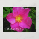 Suche nach rosa wilde blume postkarten Für sie