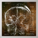 Suche nach vintage anatomie poster Retro