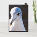 Suche nach kontrast karten Natur