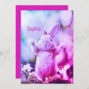 Suche nach funny easter karten Kaninchen