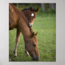 Suche nach tierfamilie poster Im freien