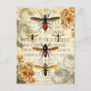 Recherche de insecte cartes postales Abeilles