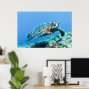 Suche nach grüne meeresschildkröten poster Nautisch