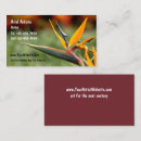 Recherche de oiseaux exotiques cartes visite Fleur