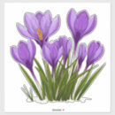 Suche nach krokus aufkleber Blüte