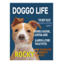 Recherche de chien pitbull posters Amoureux des chiens