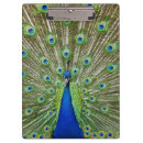 Recherche de plumes porte blocs Oiseaux