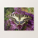 Recherche de machaon photographie Noir
