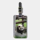 Suche nach panda gepäckanhänger Natur