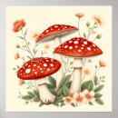 Suche nach weißer pilz poster Natur