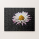 Suche nach gänseblümchen puzzle Rosa