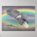 Recherche de aigle coloré posters Abstrait