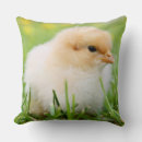 Recherche de poussin de enfant coussins Pour tous