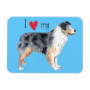 Recherche de chien berger australien magnets Australishepherd