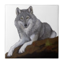 Suche nach grauer wolf fliesen Tierwelt