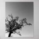Recherche de foret noire posters Minimaliste