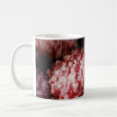 Recherche de aster tasses Beauté