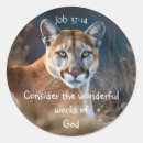 Suche nach cougar aufkleber Natur