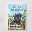Suche nach affenpinscher karten Niedlich