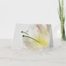 Suche nach weiße lilien karten Blume
