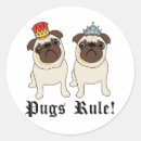 Suche nach könig der tiere aufkleber Haustier