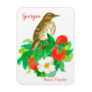 Recherche de aquarelle rose magnets Pêche