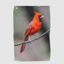 Suche nach staatsvogel Vogelbeobachtung