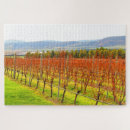 Recherche de vignoble puzzles Vignes