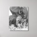 Suche nach kenia leinwandbilder Fotografie