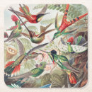 Suche nach kolibris untersetzer Kunstformen der natur