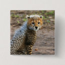 Recherche de le guépard badges Africain