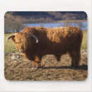 Suche nach schottland mousepads Bauernhof