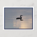 Recherche de mn cartes postales Minnesota