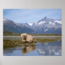 Suche nach steve kazlowski poster Fauna