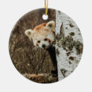 Suche nach niedlicher panda ornamente Tierisch