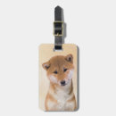 Recherche de shiba inu bagages étiquettes Dog