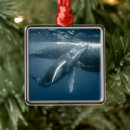 Recherche de baleine ornements Vie marine