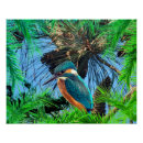 Recherche de animaux sauvages posters Toute personne