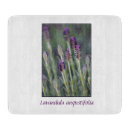 Suche nach lavendel schneidebrettchen Blume