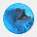 Suche nach niedlicher delphin magnete Natur