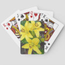 Suche nach blume lilly Gelb