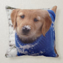 Suche nach goldene retriever kissen Welpe