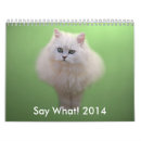 Suche nach kätzchen ich kalender Babytiere