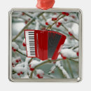 Suche nach rote beeren ornamente Schnee