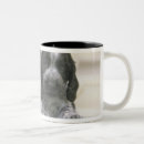 Recherche de chiens de race tasses Animal