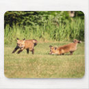 Recherche de kit tapis souris Faune
