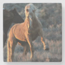 Suche nach stallions untersetzer Wild