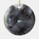 Recherche de chat gris ornements Félin