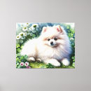 Suche nach pom kunst Hund