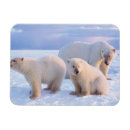 Suche nach globale karten Schnee